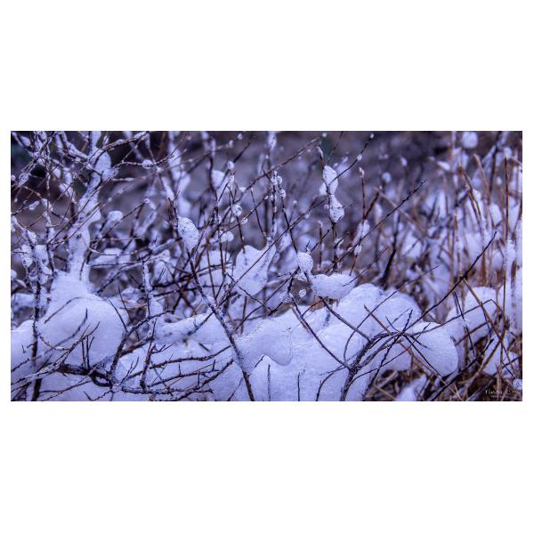 PHOTO84, CLUB, 84 , LUBERON